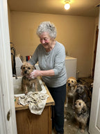Support Our Shelter