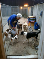 Support Our Shelter