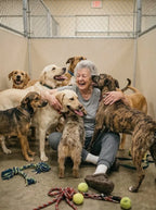 Support Our Shelter